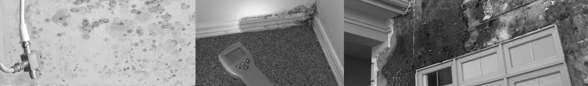 mould remediation